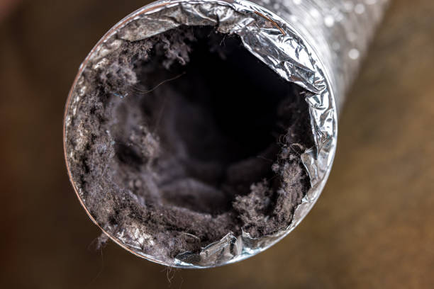 Best Dryer Vent Cleaning Services  in Mascoutah, IL