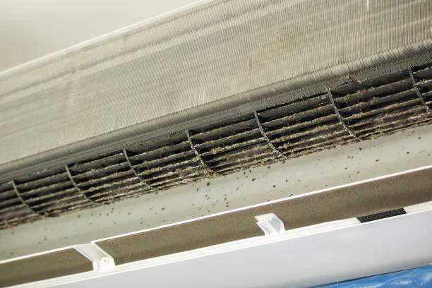 Best HVAC Duct Inspection Services  in Mascoutah, IL