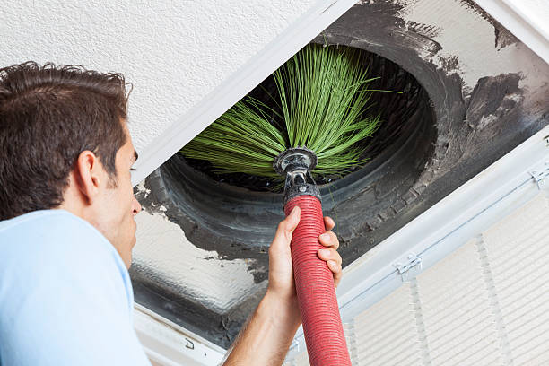 Best Professional Duct Cleaning Services  in Mascoutah, IL