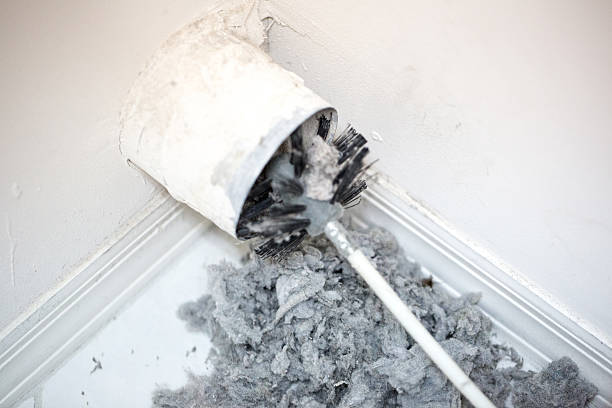 Best Residential Air Duct Cleaning  in Mascoutah, IL